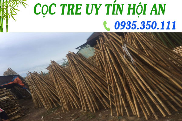   Cọc Tre Giá Rẻ Chất Lượng Hội an